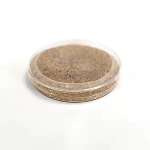 PF Petri dish sleeve (92x25, Clear)